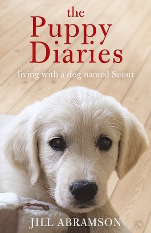 guide dog puppy walking diary