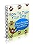 How To Train Your Dog