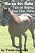 Horse for Sale Guide: Every Tips and Need to Knows on Buying Your First Horse