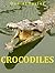 Crocodiles: A learning adventure for young readers that wish to learn more about these patient stalkers