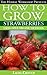 How to grow strawberries using only organic methods: Growing strawberries in containers or your garden