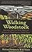 Walking WoodStock by Michael Perkins