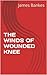 The Winds of Wounded Knee