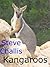Kangaroos by Steve Challis