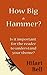 How Big a Hammer? Is it important for the reader to understand your theme? (Writer Bites: Brief essays on the heart and craft of writing fiction)