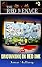 Drowning In Red Ink (The Red Menace Book 2)