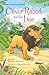 Clever Rabbit and the Lion (Usborne First Reading Level 2)