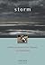 Storm by Allen Noren Storm by Allen Noren