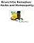 Bronchitis Remedies: Herbs and Homeopathy