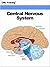 Central Nervous System by IML Training