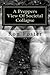 A PREPPERS VIEW OF SOCIETAL COLLAPSE (Prepper Fiction Novelettes Book 3)