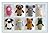 Little Animals Amigurumi Pattern Set