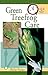 Quick & Easy Green Treefrog Care