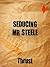 Seducing Mr Steele