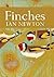 Finches: An Essential Guide...