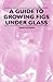A Guide to Growing Figs Under Glass
