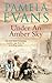 Under An Amber Sky by Pamela Evans