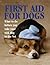 First Aid for Dogs: What to Do Before You Take Your Sick Dog to the Vet (Pet Care)