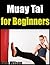 Muay Tai for Beginners