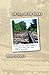 The Boys on the Tracks by Mara Leveritt The Boys on the Tracks by Mara Leveritt