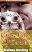 Eyes Like A Hawk - An Erotica Historical Romance by Melissa Harding