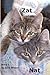 Zat and Nat--2 Cats: Book 1...
