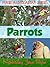 Parrots (Four Australian birds Book 1)