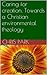 Caring for creation. Towards a Christian environmental theology