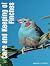 Care and Keeping of Finches