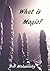 What is Magic? by Bob Makransky