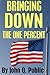 Bringing Down the One Percent by John Q. Public
