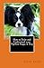 How to Train and Understand your Papillon Puppy & Dog