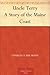 Uncle Terry: A Story of the Maine Coast