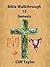 Bible Walkthrough - 13 - Ge...