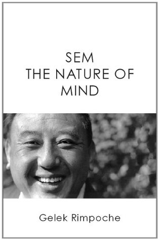 SEM (Kindle Edition)