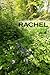 Rachel