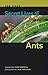 Secret Lives of Ants