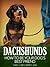 Dachshunds by Camille DeClementi