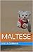 Maltese: Pictures of Maltese Puppies