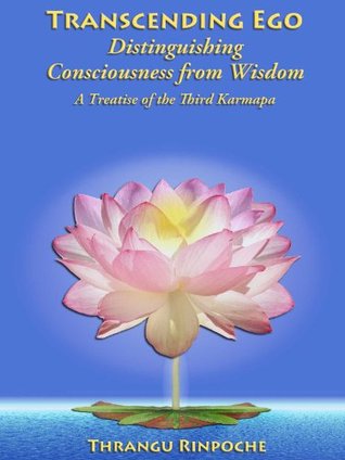 Transcending Ego: Distinguishing Consciousness from Wisdom (Kindle Edition)