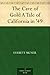 The Cave of Gold A Tale of California in '49