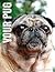 Your Pug by Dianne Bourgeois