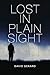 LOST IN PLAIN SIGHT by David Gerard