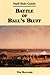 Battle of Ball's Bluff: Staff Ride Guide (American Civil War History: Battle of Ball's Bluff)