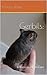 Gerbils by Brittany L. Engels