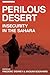 Perilous Desert: Insecurity...