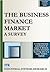 The Business Finance Market: A Survey (ISR Business finance & investment studies)