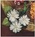 #2834 DAISY VINTAGE CROCHET...