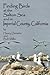 Finding Birds at the Salton Sea and in Imperial County, California