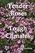 Tender Roses in Tough Clima...